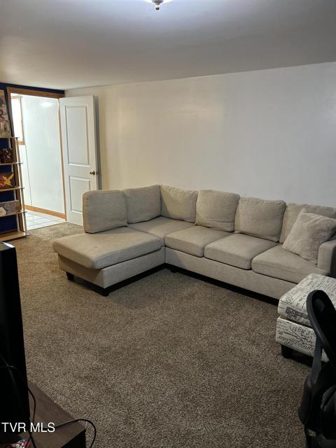 Photo #39: 211 Linda Street