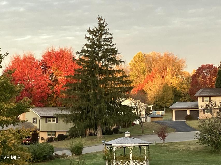 Photo #51: 415 Heritage Drive