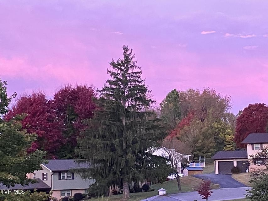 Photo #52: 415 Heritage Drive