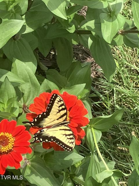 Photo #57: 415 Heritage Drive