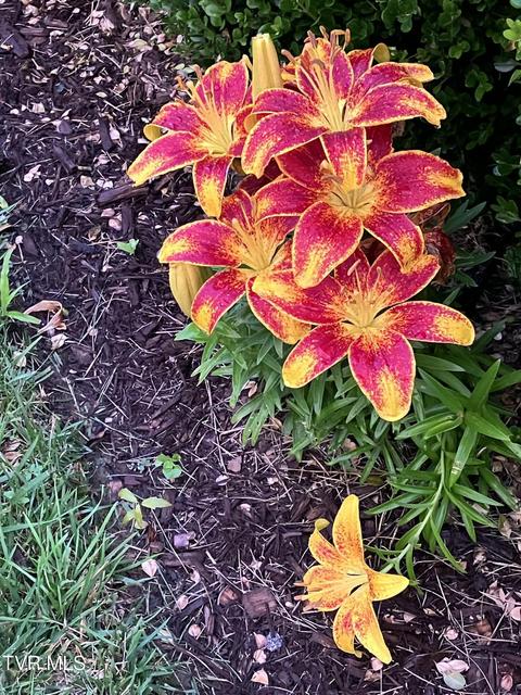 Photo #58: 415 Heritage Drive