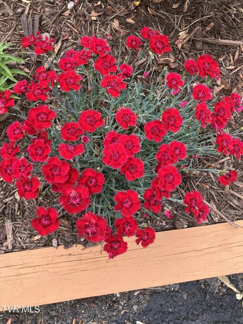 Photo #60: 415 Heritage Drive