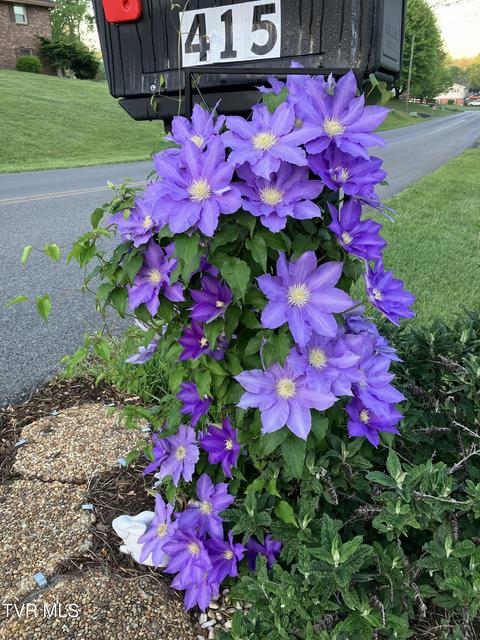 Photo #61: 415 Heritage Drive