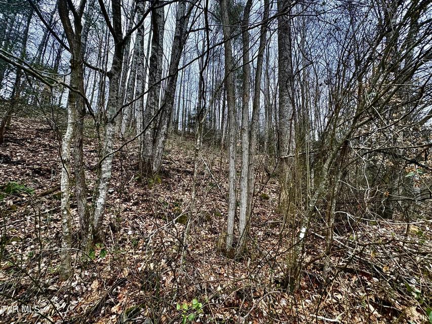 Photo #37: 133 Mill Creek Road