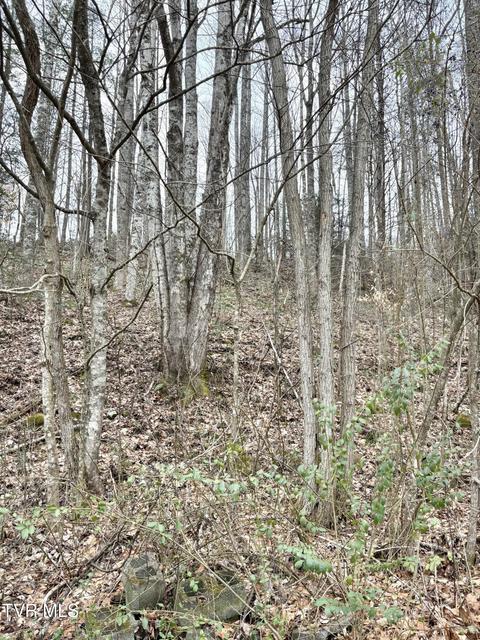 Photo #47: 133 Mill Creek Road