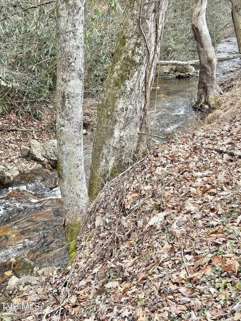 Photo #50: 133 Mill Creek Road