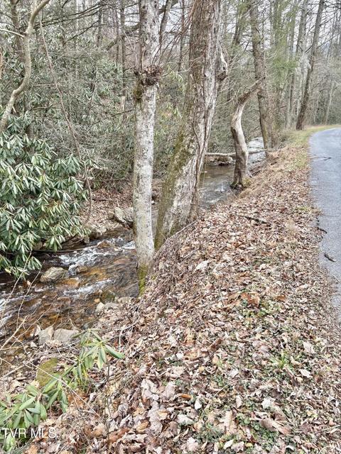 Photo #52: 133 Mill Creek Road