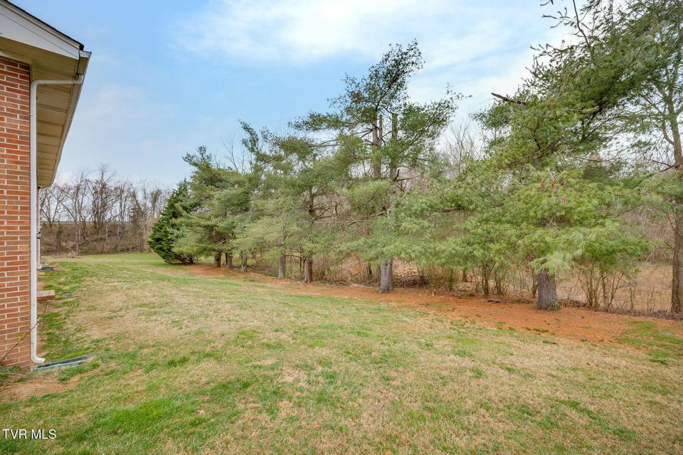 Photo #34: 157 Hawk Street