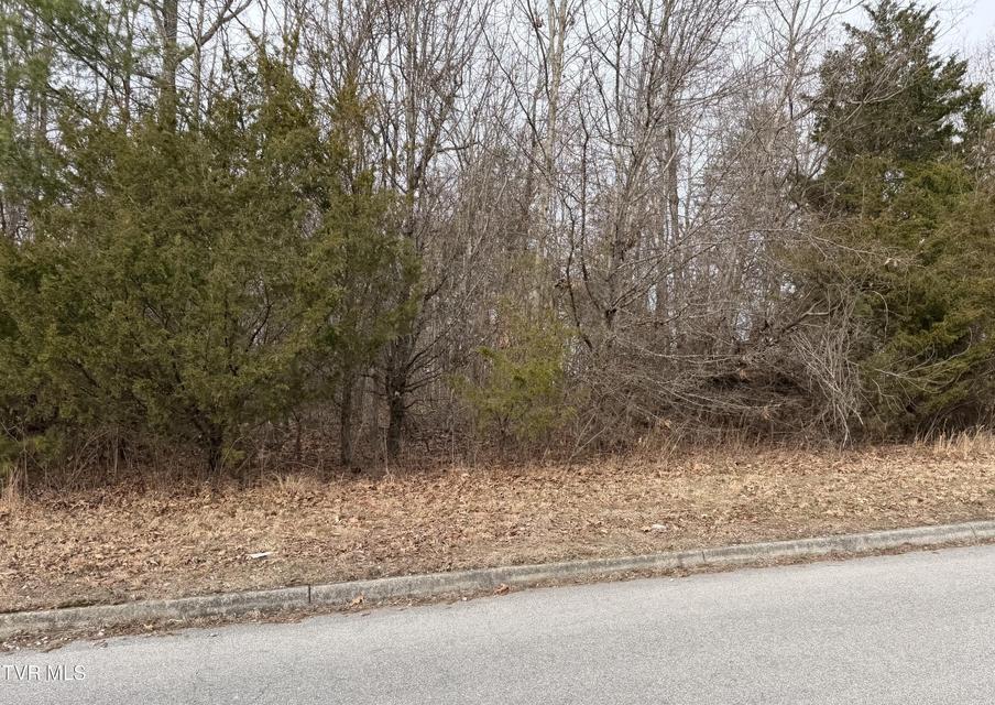 Photo #3: 400 Century Court