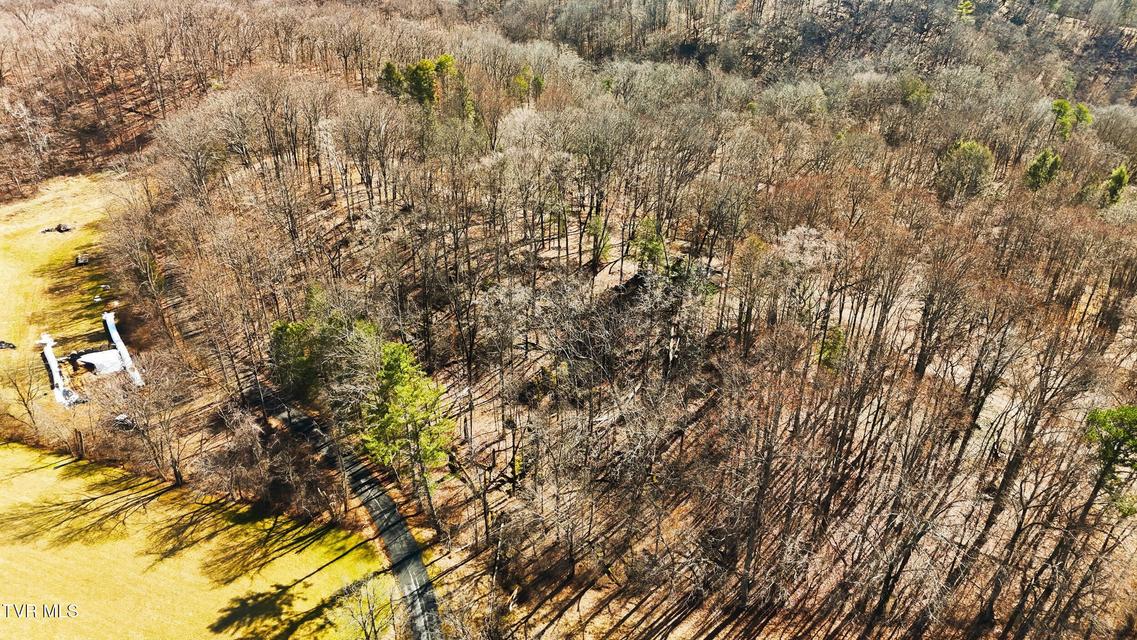 Photo #15: 597 Cavern Road