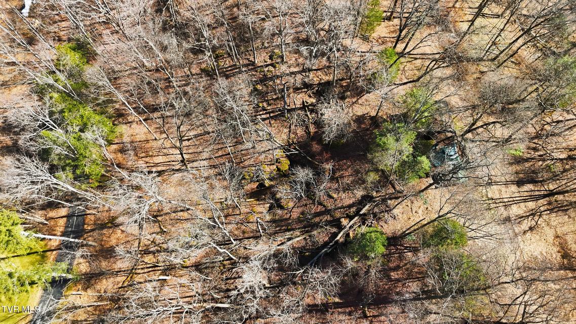 Photo #16: 597 Cavern Road