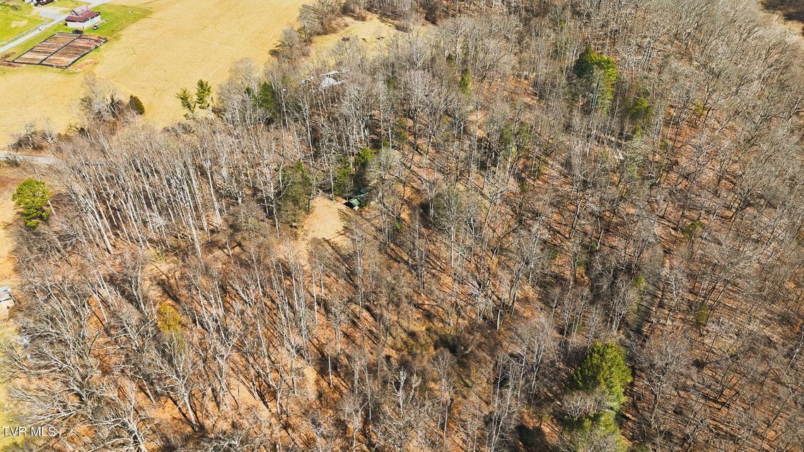 Photo #17: 597 Cavern Road