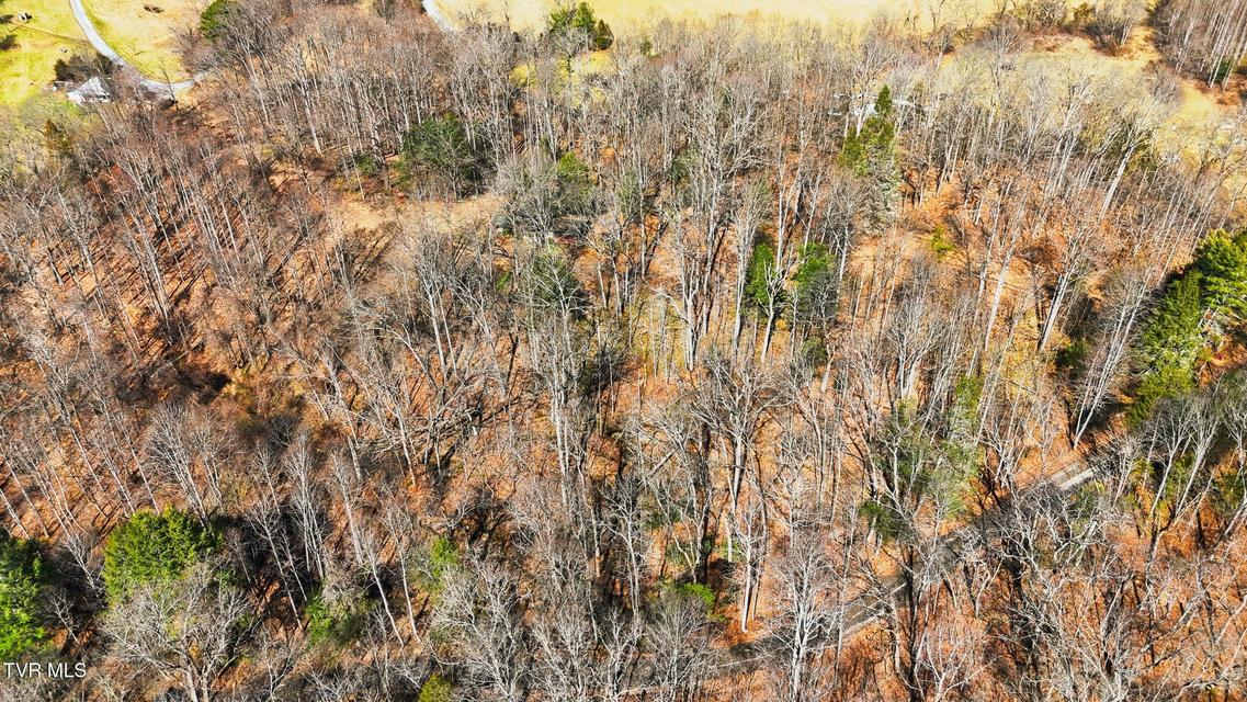 Photo #18: 597 Cavern Road