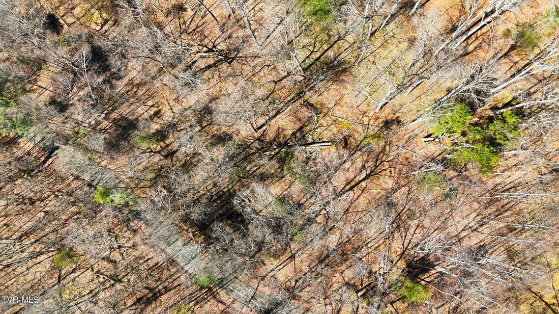 Photo #19: 597 Cavern Road