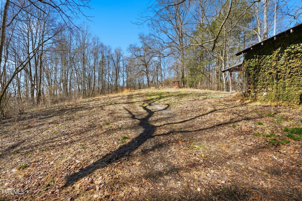 Photo #7: 597 Cavern Road