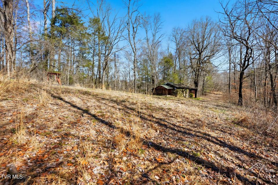 Photo #8: 597 Cavern Road