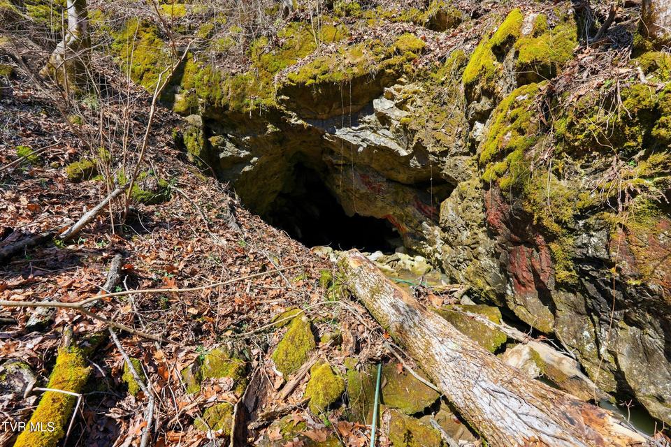 Photo #9: 597 Cavern Road