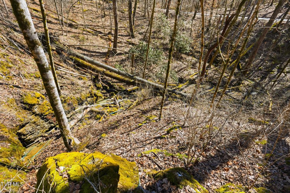 Photo #11: 597 Cavern Road