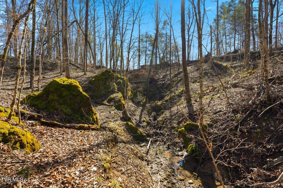 Photo #12: 597 Cavern Road