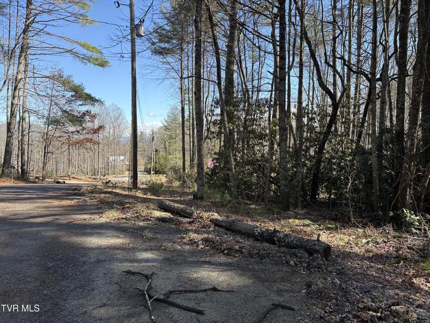 Photo #6: Lot 30 Gene Drive