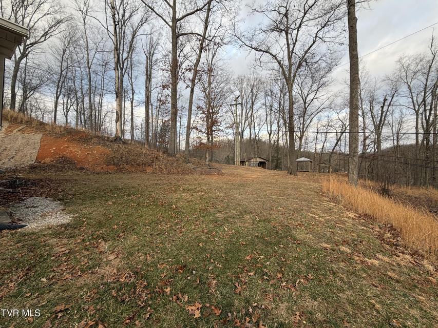 Photo #11: 1915 Dante Road