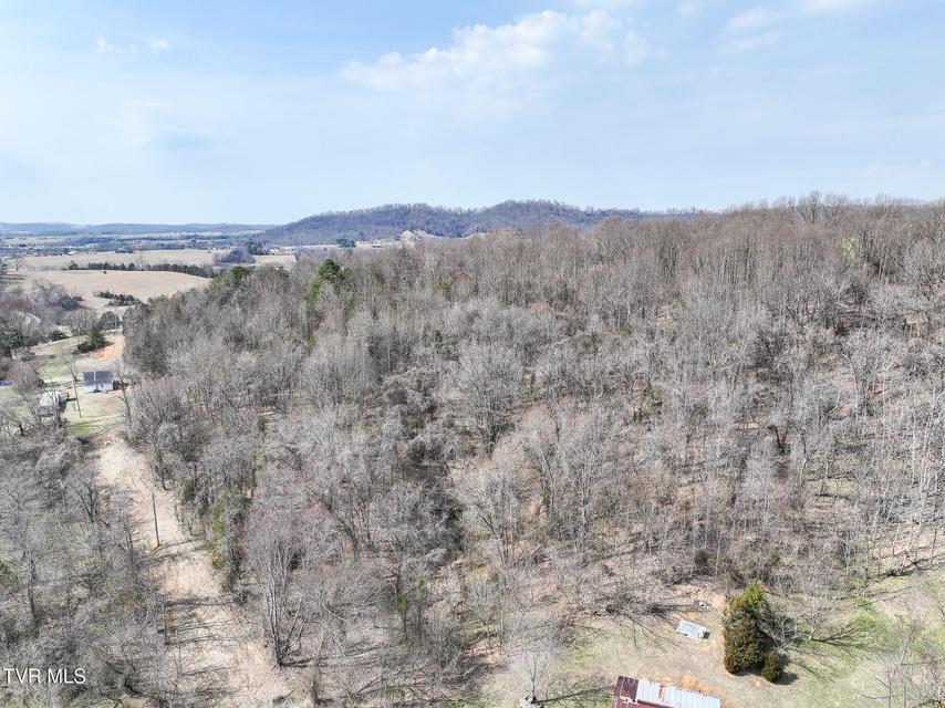 Photo #15: Tbd Campbell Circle