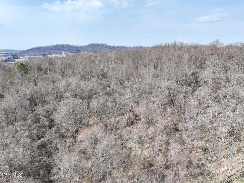 Photo #16: Tbd Campbell Circle