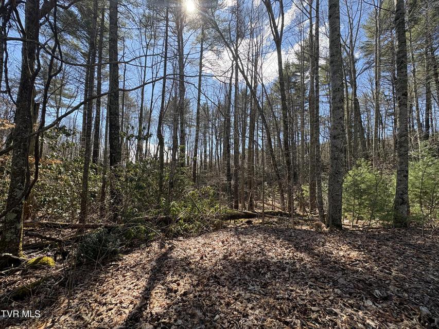 Photo #5: Lot 30 Gene Drive