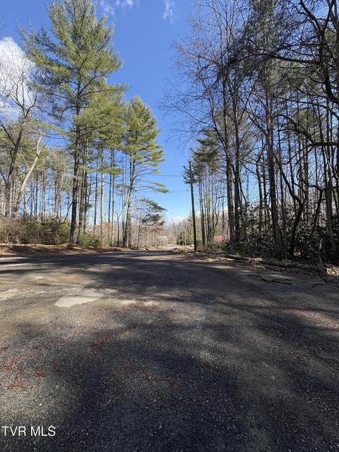 Photo #4: Lot 30 Gene Drive