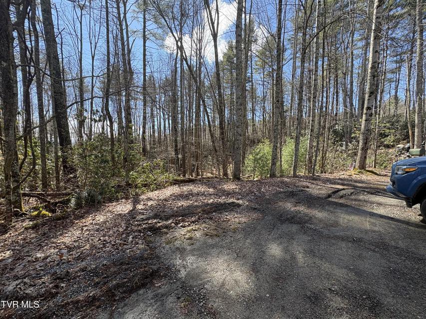 Photo #11: Lot 30 Gene Drive