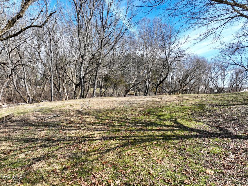 Photo #14: Tbd Bogey Drive