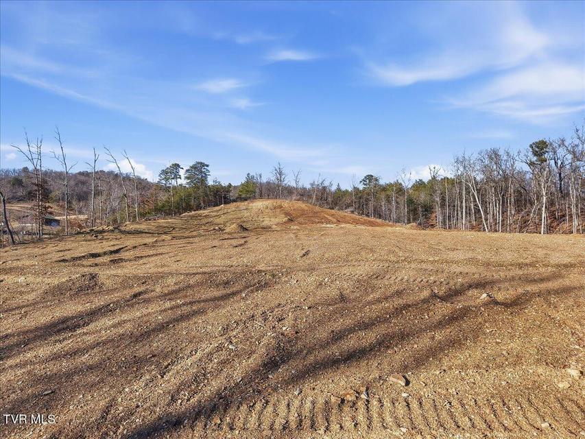 Photo #8: Tbd Industrial Drive