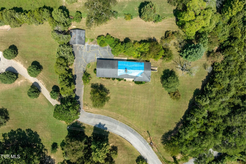 Photo #39: 214 Bernard Avenue