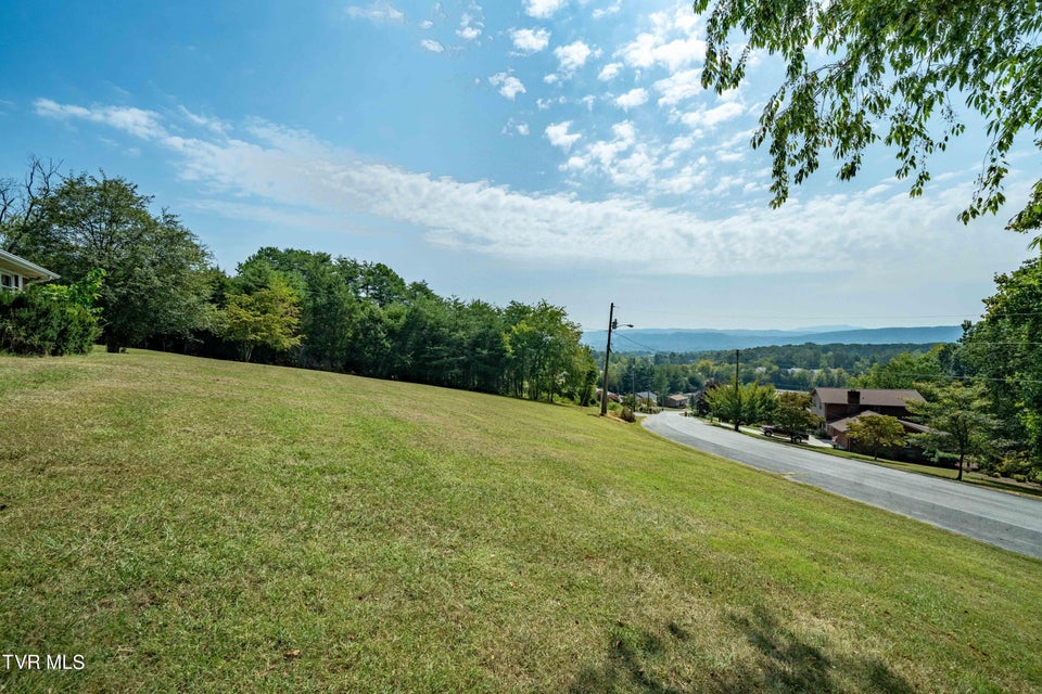 Photo #28: 214 Bernard Avenue