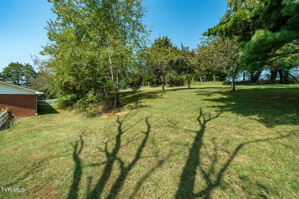 Photo #33: 214 Bernard Avenue