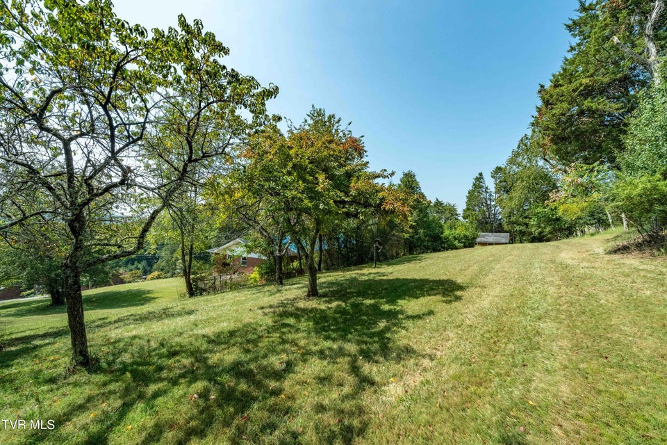 Photo #34: 214 Bernard Avenue