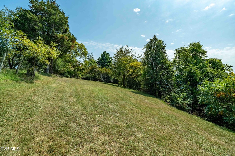 Photo #36: 214 Bernard Avenue