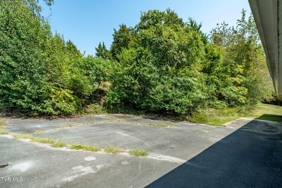 Photo #20: 214 Bernard Avenue