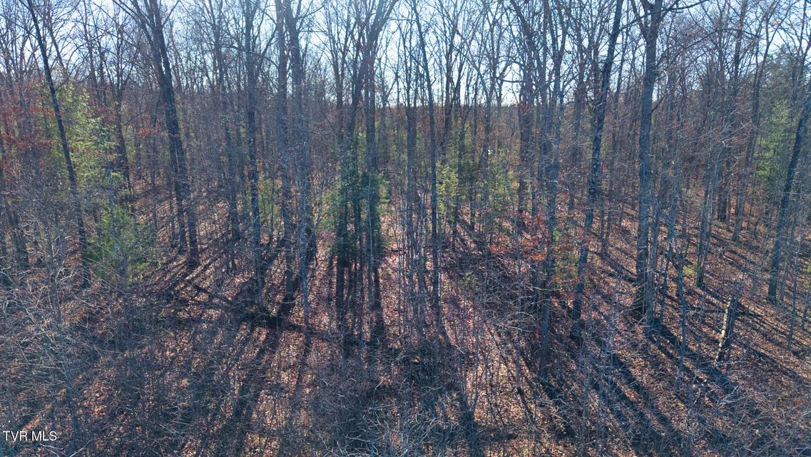 Photo #20: 0 Hill Road