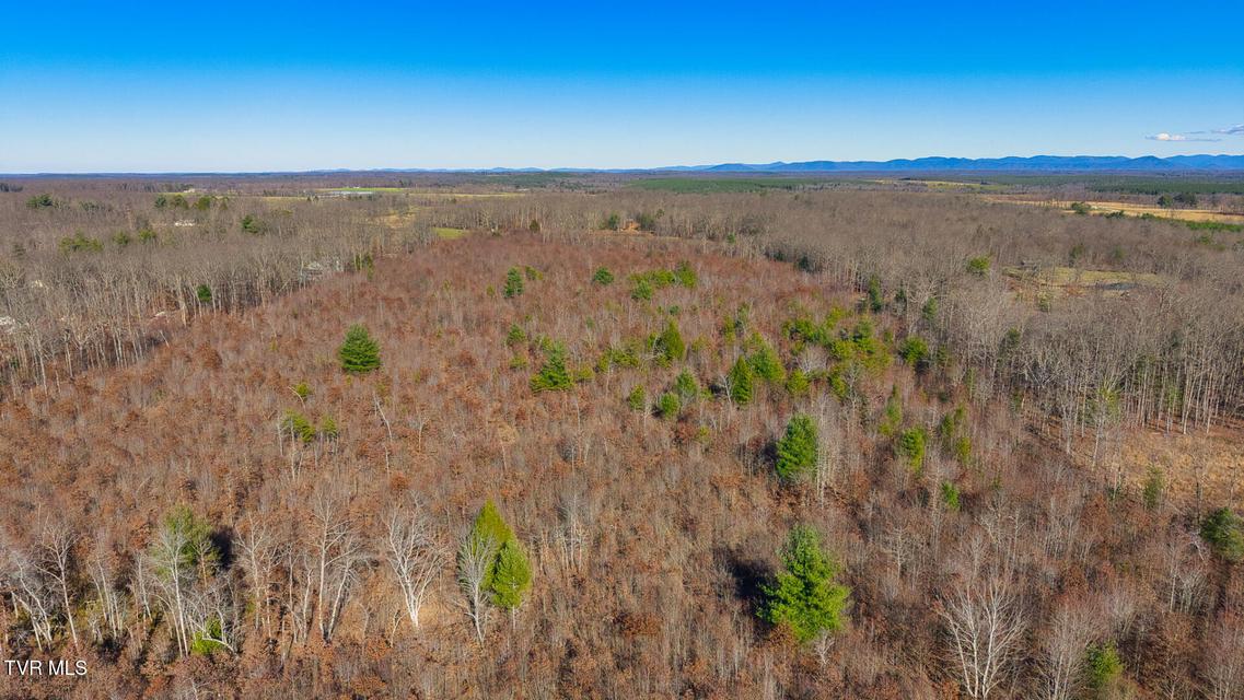 Photo #5: 0 Hill Road