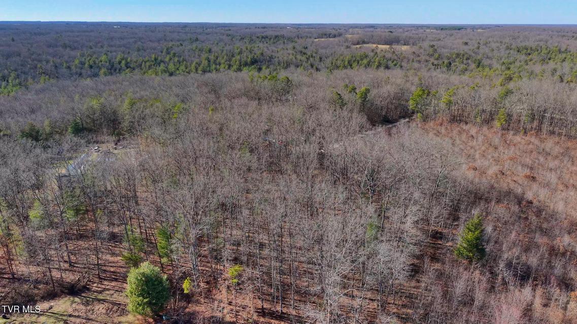 Photo #16: 0 Hill Road