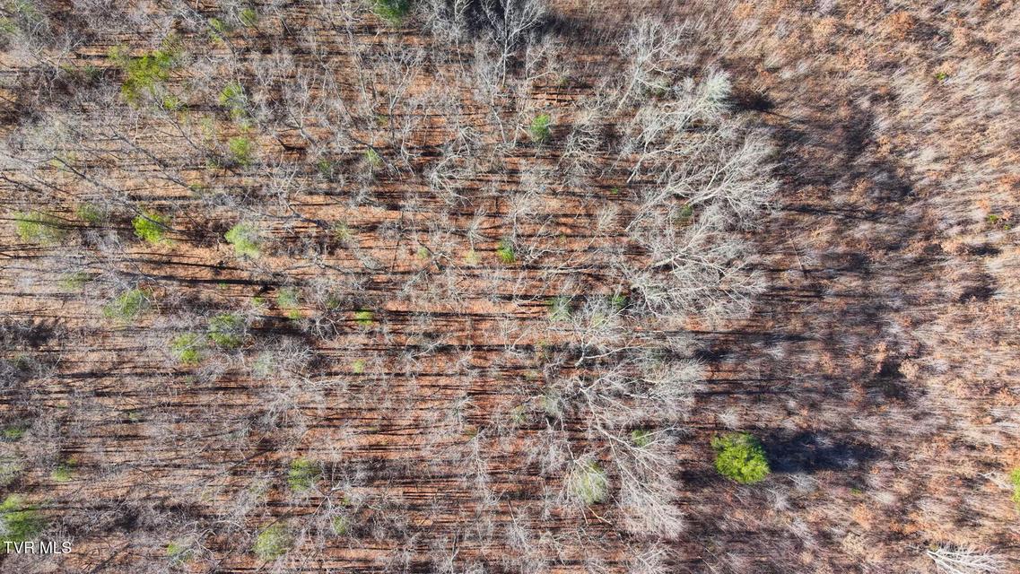 Photo #18: 0 Hill Road