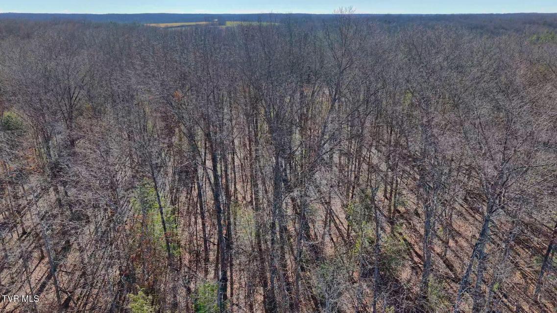 Photo #19: 0 Hill Road