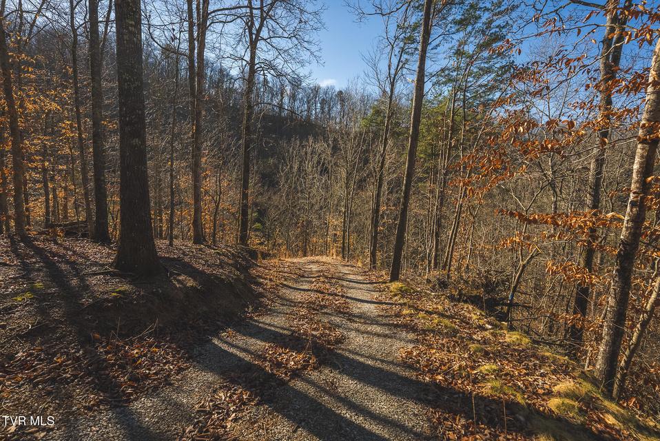 Photo #37: 637 Jacobs Hollow Road