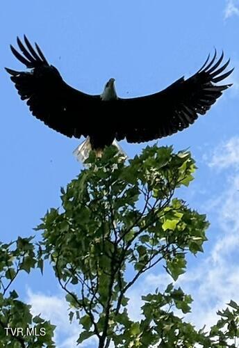 Photo #56: 2005 River Mist Circle