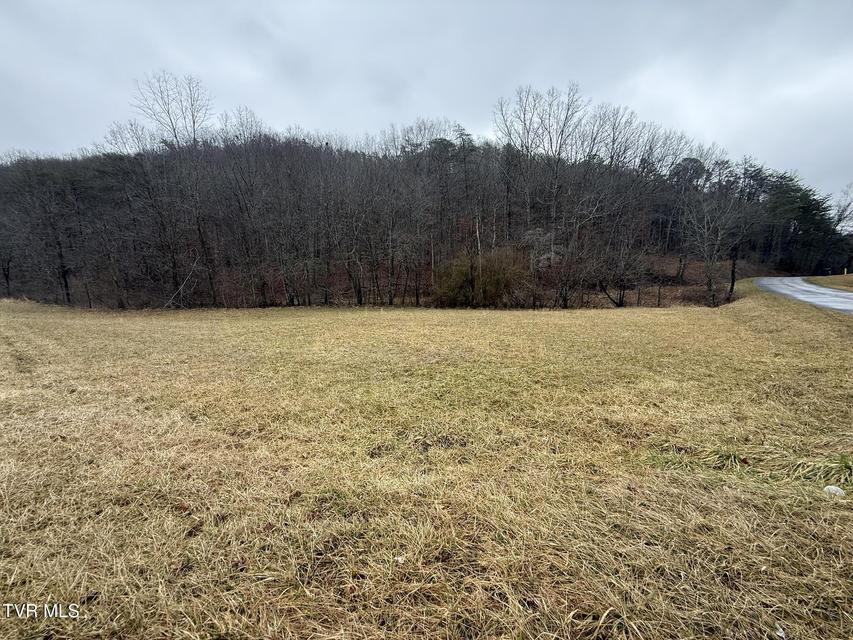 Photo #8: 00 Yuma Road