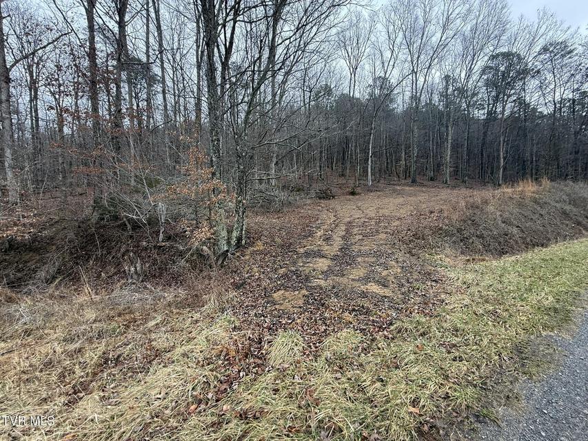 Photo #21: 00 Yuma Road