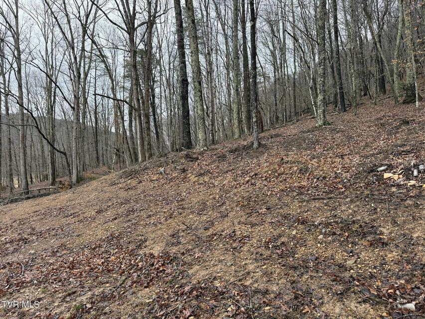 Photo #25: 00 Yuma Road