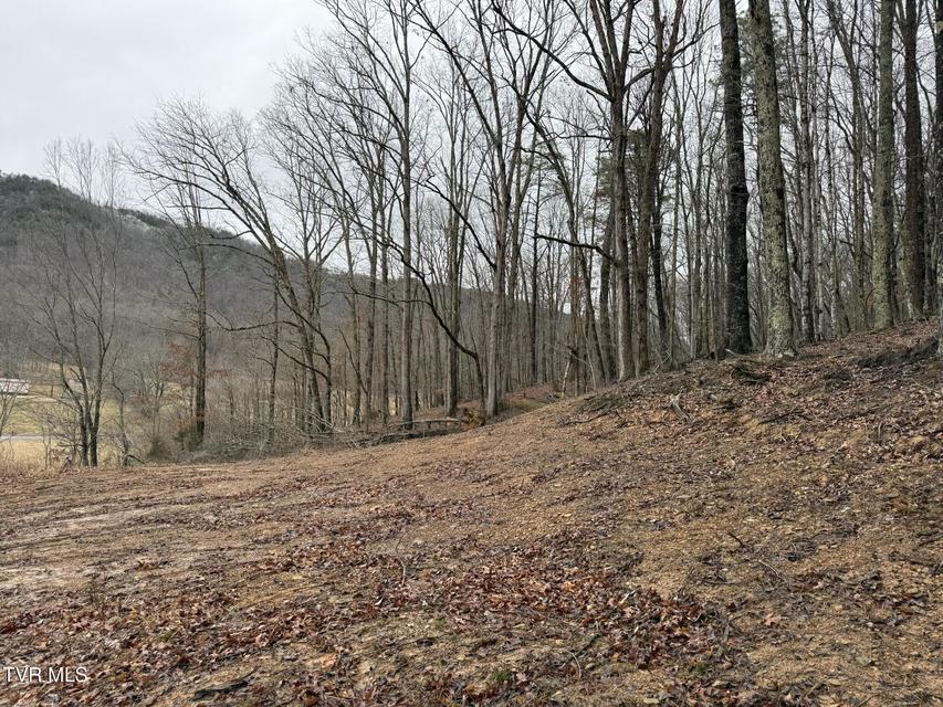 Photo #26: 00 Yuma Road