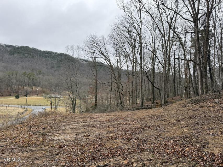 Photo #27: 00 Yuma Road